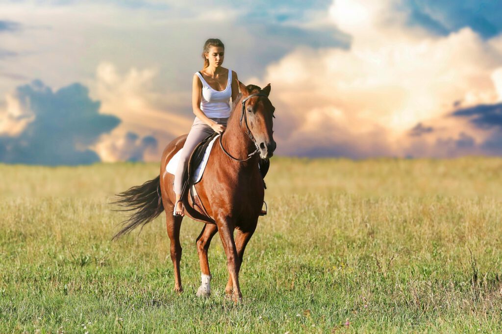 woman, horseback riding, field-3432069.jpg